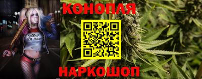 гашишное масло Гусев