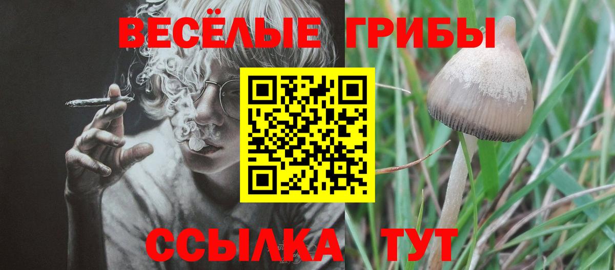 Галлюциногенные грибы Psilocybine cubensis Мелеуз