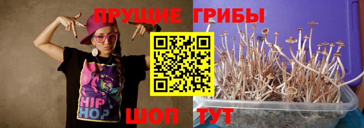 Псилоцибиновые грибы мухоморы  что такое наркотик  Мелеуз  Вход с VPN 